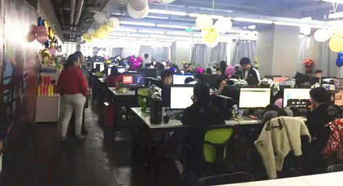 打造大學生實訓網絡技術服務品牌 從實踐到卓越的蛻變之路